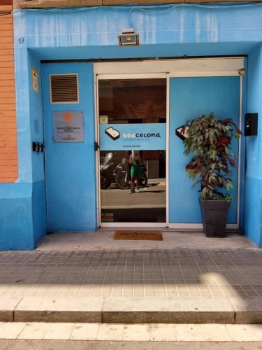 Bedcelona Hostel in Barcelona