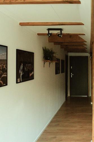 FORREST, Polanica-Zdrój (foto 9)