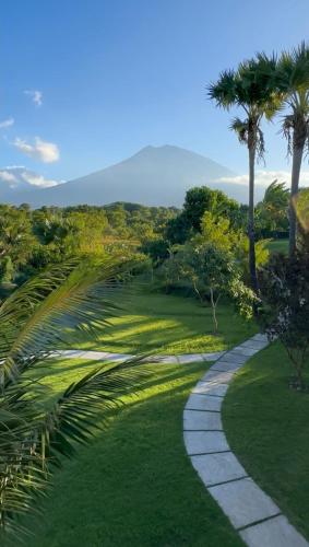 Palm Springs Bali Dive Resort