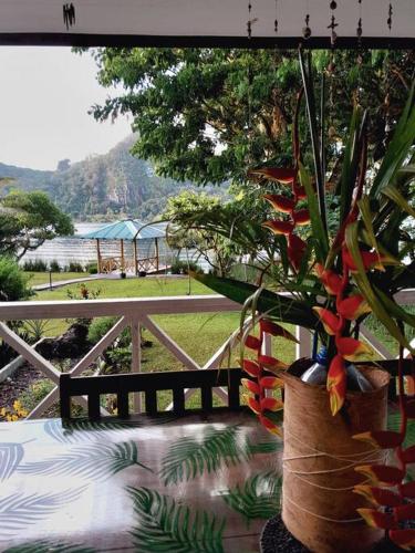 บริการและสิ่งอำนวยความสะดวก, RAIATEA, OPOA, Fare Rêvé, Bord de mer (RAIATEA, OPOA, Fare Reve, Bord de mer) in โอโป