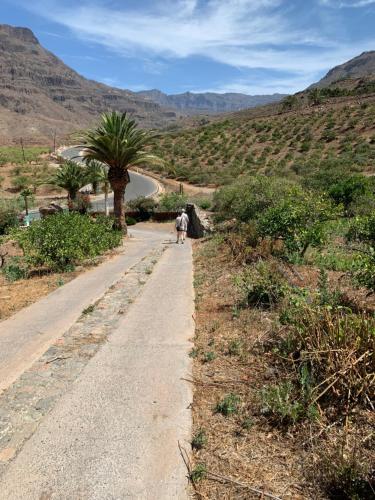 Hotel Masai Mara Resort Gran Canaria