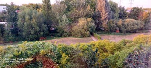 Belle Demeure en bord de Seine