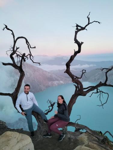 Ijen Transito 2 HOMESTAY