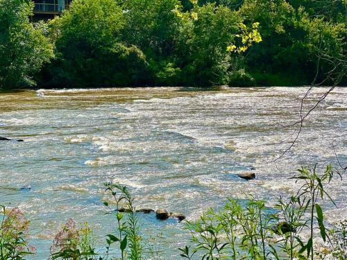 Riverside Relaxer w/Hot Tub+Fire Pit +Wifi & view in Franklin, USA