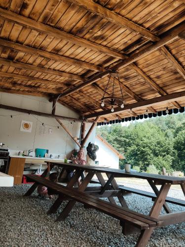 Glamping Wild Nature Bałtów