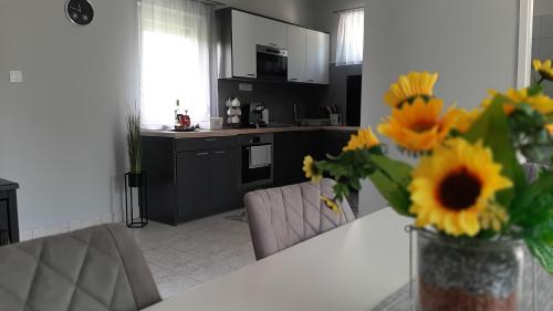 Kitchen, Jenny vendeghaz in Zalakaros