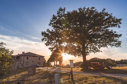 Masseria Del Bosco - Podere Palazzone