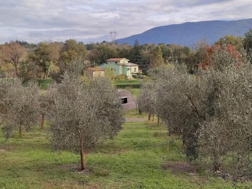  Apartment in Lucca in the Tuscan countryside in 55100 Lucca