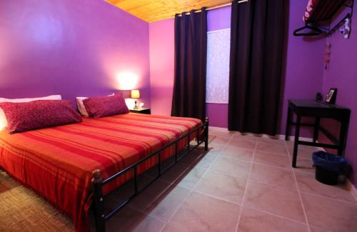 Petra Bed & Breakfast photo 2