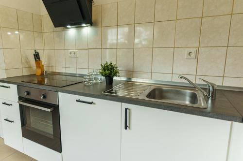廚房, Großzügiges & freundliches Apartment mit Balkon (Großzugiges & freundliches Apartment mit Balkon) in 迪林根/薩爾