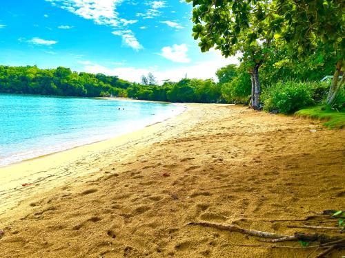 Sand and Tan Beach Hotel