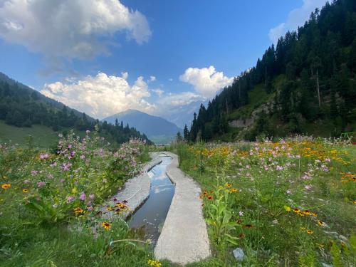 Himalayan Herbal Resort