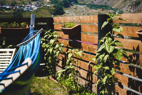 Cottage Caucasus Cottage Caucasus