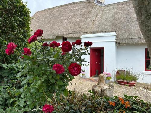 Quay House in Ballyvolane