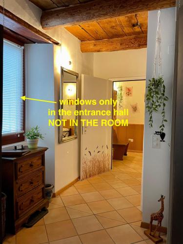  1912 - Flowers Room - budget for young in Locarno