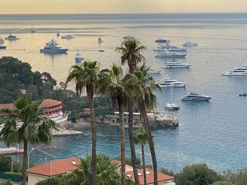 Monte Carlo border sea view 10 min to Casinò