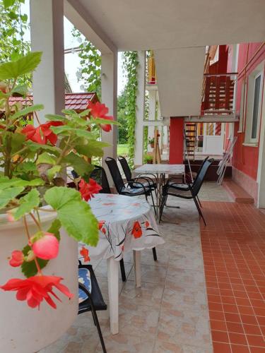 Apartment with Terrace