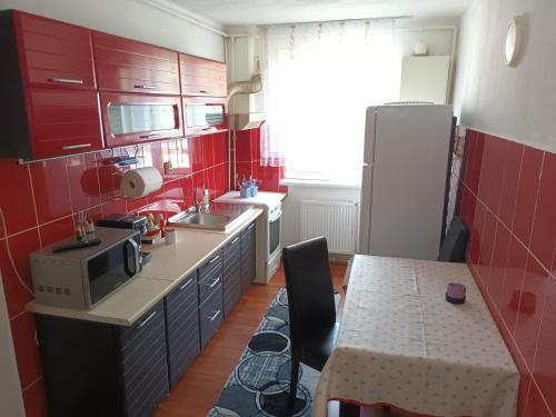 Apartament Magic Petroșani, Petrosani (fotografie 11)