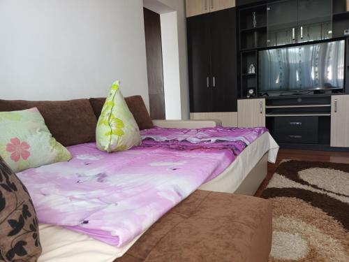 Apartament Magic Petroșani, Petrosani (fotografie 6)