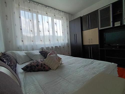 Apartament Magic Petroșani, Petrosani (fotografie 7)