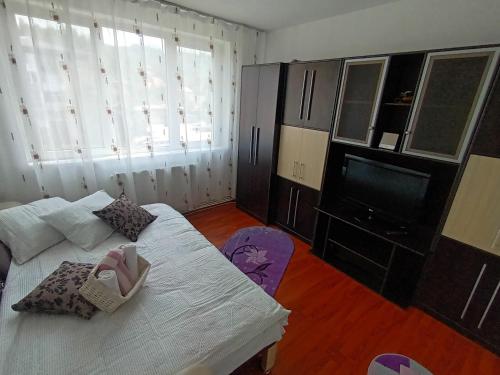 Apartament Magic Petroșani, Petrosani (fotografie 5)