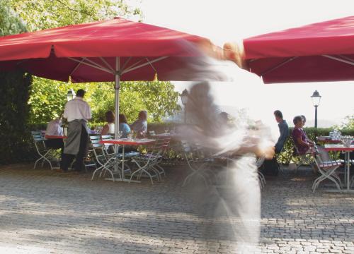 Gasthaus Schlosshalde - image 10