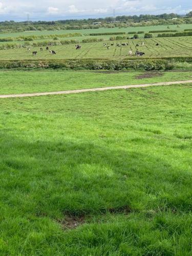 Newton Hall farm cottage with amazing views & hot tub