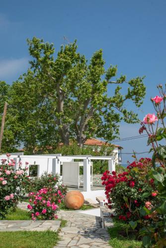 Aeolos Hotel & Villas - Pelion - image 7