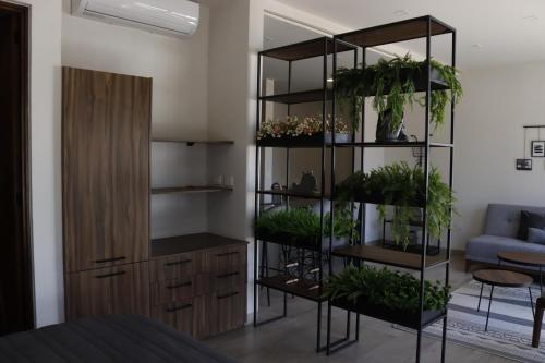 Residencias La Estación San Miguel de Allende in San Miguel de Allende, Mexico