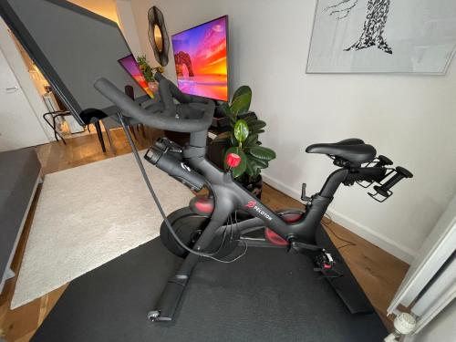 Peloton Organic Health Apartment in Angel, Old Street, Islington, London (photo 6)