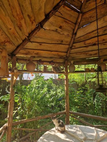 Guest House "SVANETI" in Lentekhi