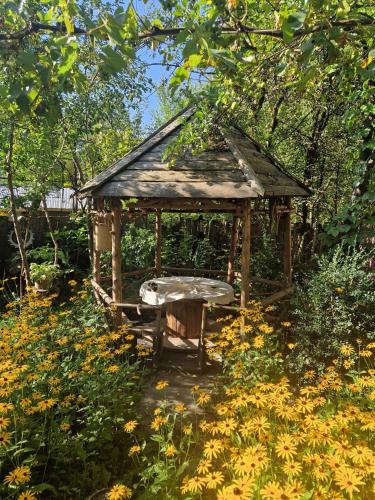 Guest House "SVANETI" in Lentekhi