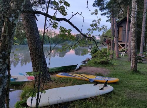 Viking house in the tree! Jacuzzi, Sauna,apkure!