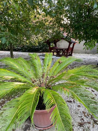 Garden, Diofa Apartmanhaz in Kapuvár