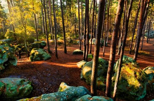 Gîte à la ferme avec sauna, forêt de Fontainebleau