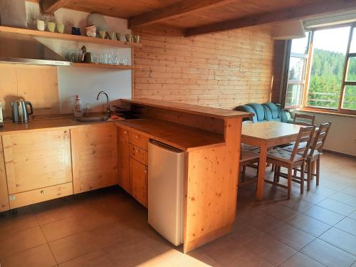 Kitchen, Velky apartman Cihlarka in Cerny Dul