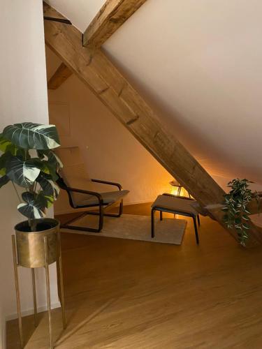 Eine schöne Wohnung an der Birs, Basilej (fotografie 7)