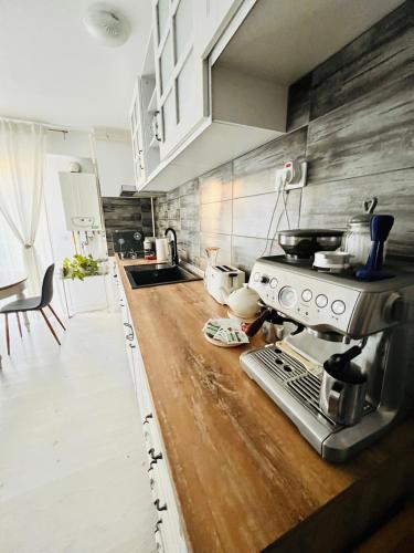 The Airport Loft - Apartment - Otopeni