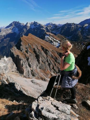 Birnbaum Chalets Grossarl