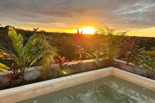 Lush Tulum Rooftop Condo with Ensuite Pool & Wifi