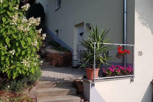 Ferienwohnung Talblick im Schwarzwald