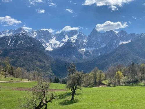 Apartments Blažič - Kranjska Gora