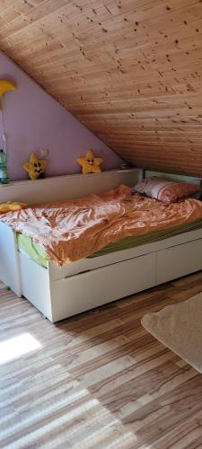 Selzen in Köngernheim