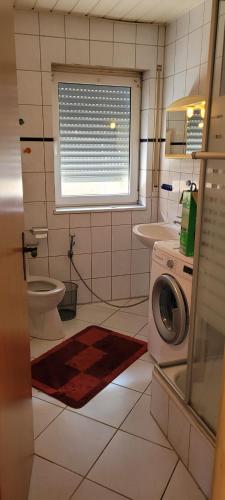 Selzen in Köngernheim