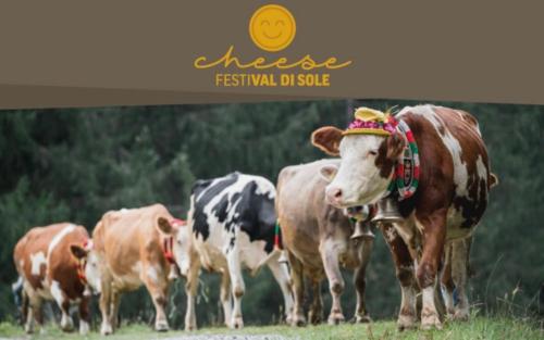  Chalet Migazzi in Cogolo