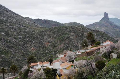 Casa Rural Pepita La De Las Flores