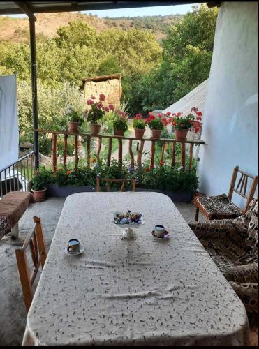 Kert, MyhomeIsYourhome in Aghavnadzor