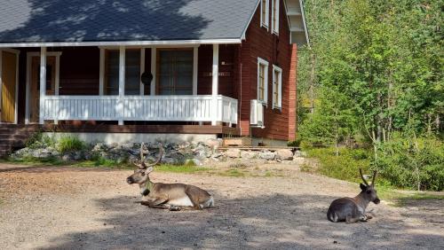 Riekko Chalet 5