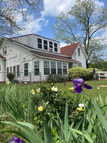 Gran’s Guest House Gran’s Guest House