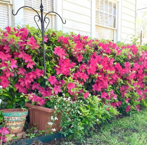 Gran’s Guest House Gran’s Guest House